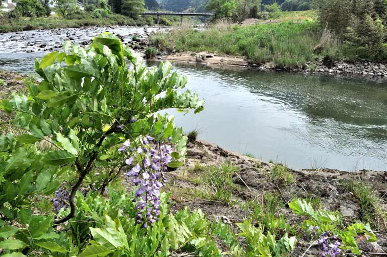 湯村 天が淵(あまがふち)の見どころ